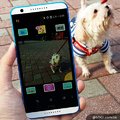 9款寵物App！輕鬆打理毛小孩的生活點滴！