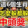 誰屬這6個生肖之一，今年底怎麼躲都躲不過中頭獎。你有上榜嗎？