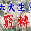 11月這六大生肖，破財運過，能夠由窮轉富！