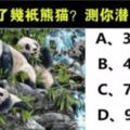 心理測試：照片中你看到了幾隻熊貓？測你的潛力天性