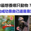 你最想養哪只動物？測你的成功靠自己還是靠別人？