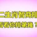 十二生肖智商排行榜！哪個生肖最聰明？看看你是第幾名呢？