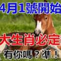 4月1號起，運勢大好賺錢多，翻身變有錢人的5大生肖