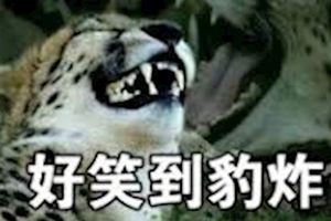 十四則超短又好笑的笑話，不信你不笑，哈哈哈~