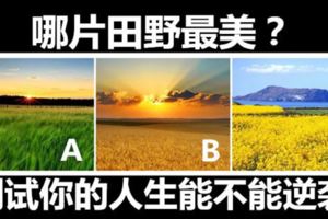 哪片田野最美？測試你的人生能不能逆襲