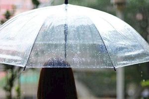 心理學：下雨的時候你會選哪把雨傘？測你如何做可以撩到另一半