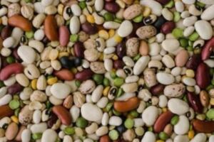 「每天吃豆，何須吃藥」，可醫生說：每天吃豆類食物別超過150克