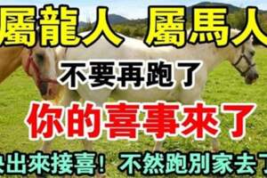 屬龍屬馬人：不要再跑了，你的喜事來了「喜上加喜」快來接喜！