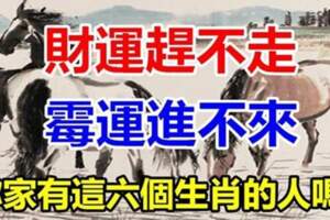 6大生肖誰家若有一個，「財運趕不走」黴運進不來！