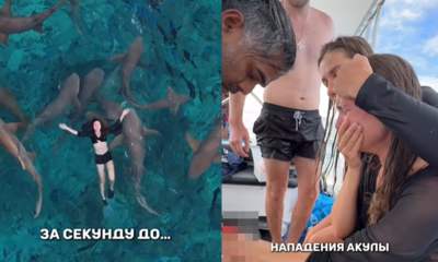 和危險鯊魚群浮潛拍人生美照 女網紅慘被攻擊「鮮血狂流」崩潰 和危險鯊魚群浮潛拍人生美照 女網紅慘被攻擊「鮮血狂流」崩潰