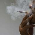 菸草中的尼古丁，不僅不致癌，還能抗衰老，是不是真的？