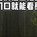 淺談四川綿陽和北京房山建大熊貓繁殖基地的利弊；接美香回家！