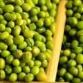 綠豆和它是黃金組合，每天喝點，濕氣、失眠或會「繞道走」