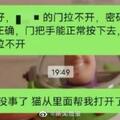 門鎖壞了寵物貓從裡面幫主人開門