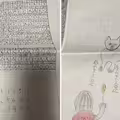 貓有分左右撇子？小學生「研究200次」實驗結果曝