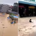 中國驚現「洪水吞村」！滅頂恐怖畫面曝