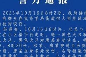 四川崇州市惡犬傷人！誰該為頻發的狗咬人事件負責？