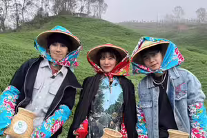 丁噹現蹤花蓮美成這樣 鼓鼓蕭秉治伴遊採茶去