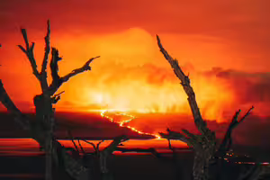 物理學家60年前預言「2026年為世界末日」：人類恐被擠死