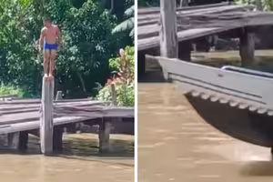 男子在碼頭跳水　抬頭換氣快艇直接輾過
