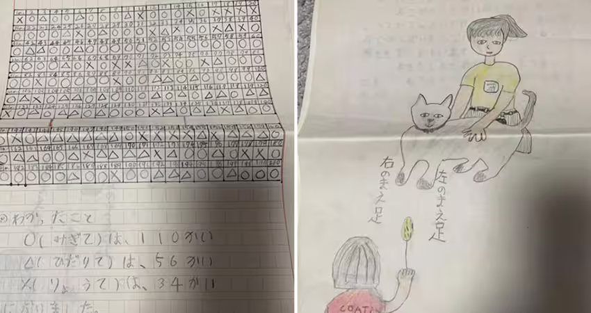 貓有分左右撇子？小學生「研究200次」實驗結果曝