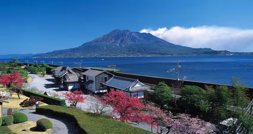 台灣也入列！日本祭出「旅遊補助」一次可省數千元　上路時間曝