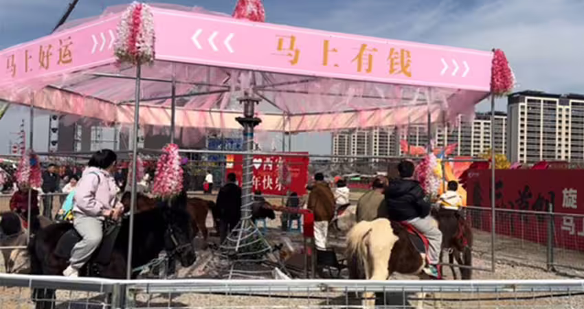 中國驚現「旋轉真馬」　網全怒！景區回應了