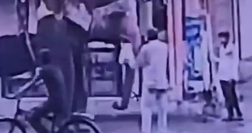 餵大象吃糖　男子遭擊倒再重踏