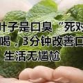 一片葉子是口臭「死對頭」，泡水喝，3分鐘改善口氣，生活無尷尬