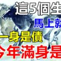 這5個生肖，去年一身是債，今年滿身是財，馬上就發！