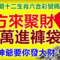 第十四期十二生肖六合彩號碼組合。八方來聚財，百萬進褲袋！財神爺要你發大財！