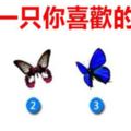測：選擇一隻你喜歡的蝴蝶，測一測內心真正的自己！