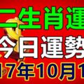 十二生肖運勢天天看，今日運勢：2017年10月16日