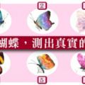 測試：憑直覺挑選一隻蝴蝶測出真實的你