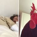 寵物公雞「最可愛的叫床方式」讓主人每天被萌醒，超囂張的模樣網友都笑噴！