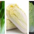 抗癌聖手是白菜，這麼炒效果最好補鈣、降壓、強免疫