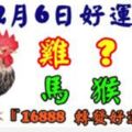 2月6日好運生肖，五福臨門接財神！【雞+？+豬+馬+猴+狗】『上榜請留言16888轉發好運到！』