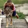 多年前小女孩救了一隻即將餓死的狼，幾年後風雲突變！