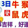 6月13日生肖運勢_牛、猴、龍大吉