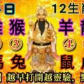 13生肖運勢-6月24日星期日