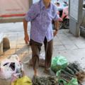 85歲婆婆賣「神草」：我一輩子沒有吃藥打針靠的就是它們