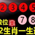 9個位數，看12生肖一生運勢旺衰！比算命還要准！