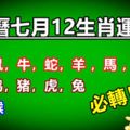 【農曆七月12生肖運勢】~鼠，牛，蛇，羊，馬，狗，龍大吉