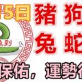 8月15日生肖運勢_豬、狗、羊大吉