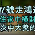 8月17號開始走鴻運，財神住家中，橫財入宅，3番5次中大獎的生肖！