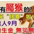 誰家有屬猴的？快出來「接喜」啦屬猴人9月坐地生金，無災無難