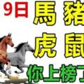 9月19日生肖運勢_馬、豬、狗大吉