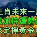 5生肖未來一周得吉星加持，運勢高漲，未來定能掙得黃金萬兩！