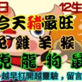 2018年12月5日，星期三農歷十月廿八（戊戌年癸亥月辛未日）