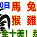 1月10日生肖運勢_馬、兔、豬大吉